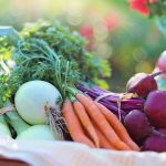 Vegetable Basket