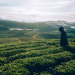 Person Standing in Farm Field